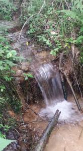 The original pause that refreshes